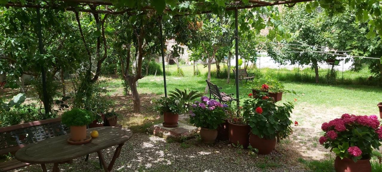 Intos Apartments Айос-Николаос Экстерьер фото